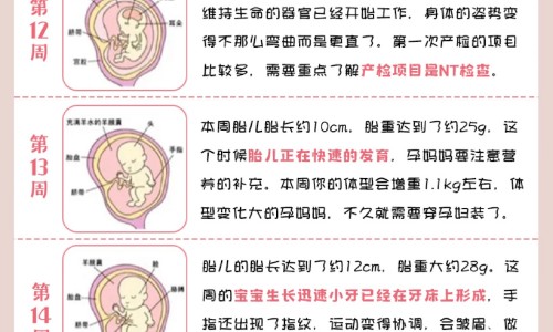 柠檬膏月经期间吗网 - 网站提供柠檬膏正确的熬法小常识、月经期可以吃柠檬片吗