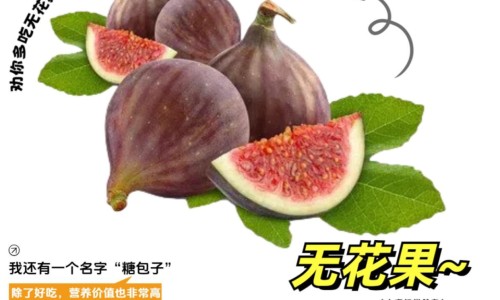 柠檬膏正确的熬法-柠檬膏月经期间吗网 - 网站提供柠檬膏正确的熬法小常识、月经期可以吃柠檬片吗