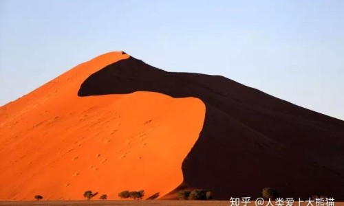 柠檬膏月经期间吗网 - 网站提供柠檬膏正确的熬法小常识、月经期可以吃柠檬片吗
